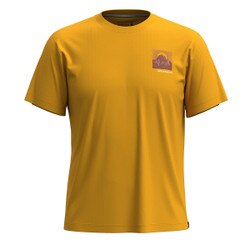Smartwool Forest Finds Graphic Short Sleeve Tee Men's in Honey Gold